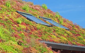 Chelsea living roof systems