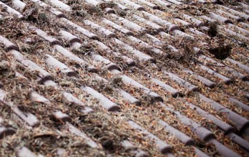 Chelsea roof cleaning companies