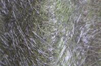 Chelsea fibreglass roof work